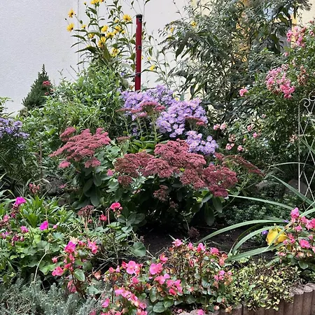 Marktgefluester * Bad Düben