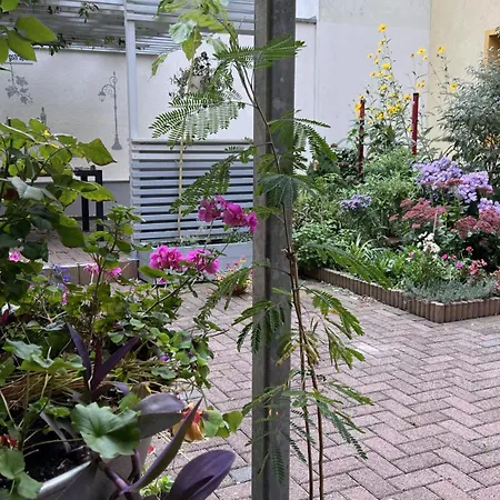 Marktgefluester Appartamento Bad Düben