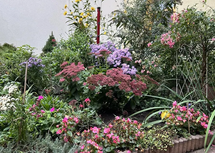 Marktgefluester * باد دوبن